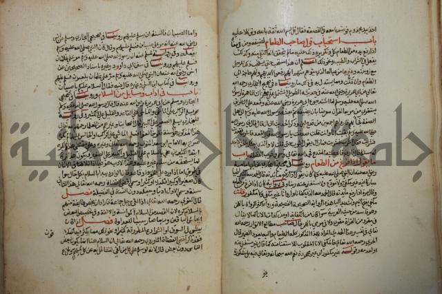 كتاب حلية الابرار وشعار الاخيار في تحقيق الدعوات والاذكار المستحبة في الليل والنهار