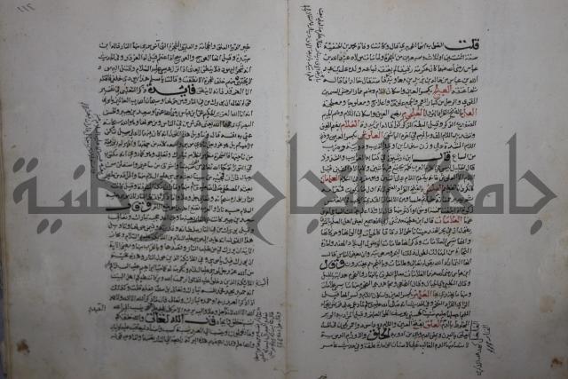 حياة الحيوان الكبرى