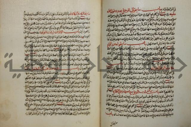 كتاب حلية الابرار وشعار الاخيار في تحقيق الدعوات والاذكار المستحبة في الليل والنهار