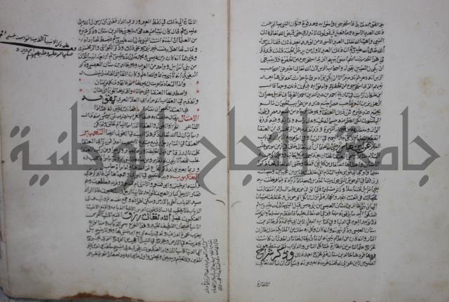 حياة الحيوان الكبرى