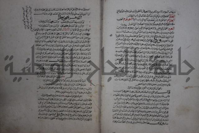 حياة الحيوان الكبرى