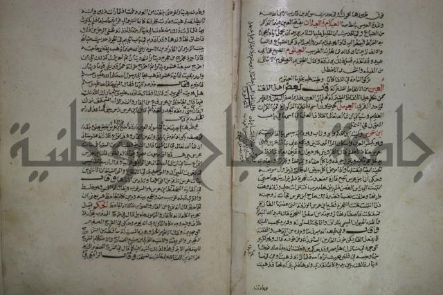 حياة الحيوان الكبرى