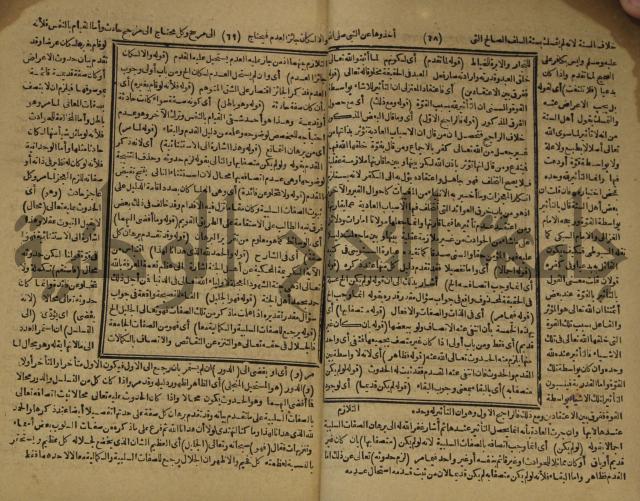 المستصغى من علم الاصول