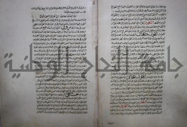 حياة الحيوان الكبرى