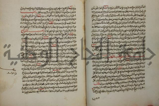 كتاب حلية الابرار وشعار الاخيار في تحقيق الدعوات والاذكار المستحبة في الليل والنهار