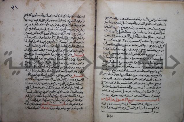 مختصر في الفقة على مذهب الإمام أحمد