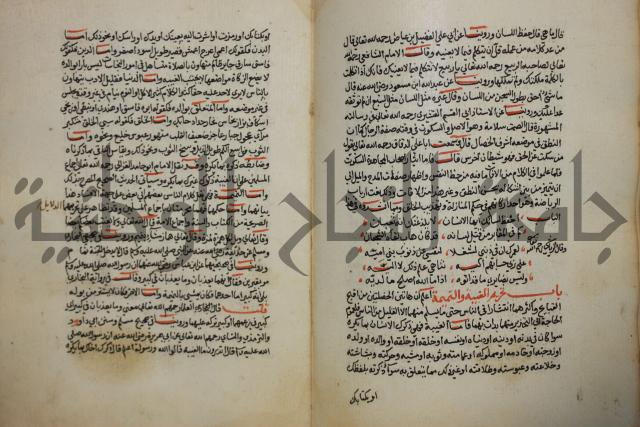 كتاب حلية الابرار وشعار الاخيار في تحقيق الدعوات والاذكار المستحبة في الليل والنهار