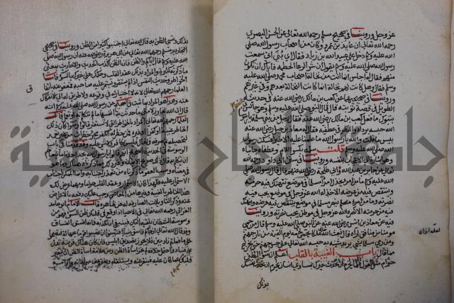 كتاب حلية الابرار وشعار الاخيار في تحقيق الدعوات والاذكار المستحبة في الليل والنهار