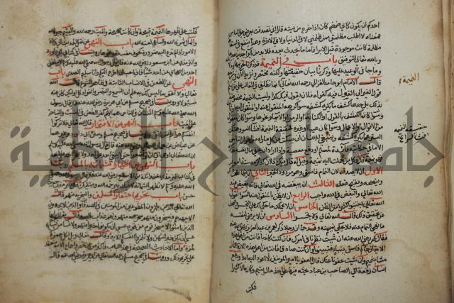 كتاب حلية الابرار وشعار الاخيار في تحقيق الدعوات والاذكار المستحبة في الليل والنهار