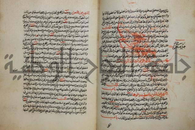 كتاب حلية الابرار وشعار الاخيار في تحقيق الدعوات والاذكار المستحبة في الليل والنهار