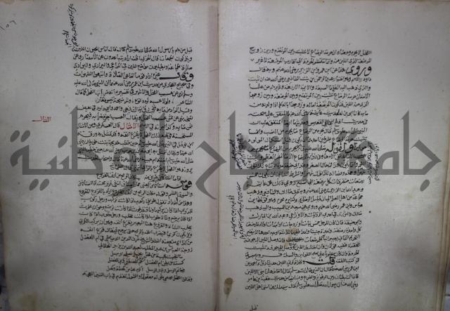 حياة الحيوان الكبرى