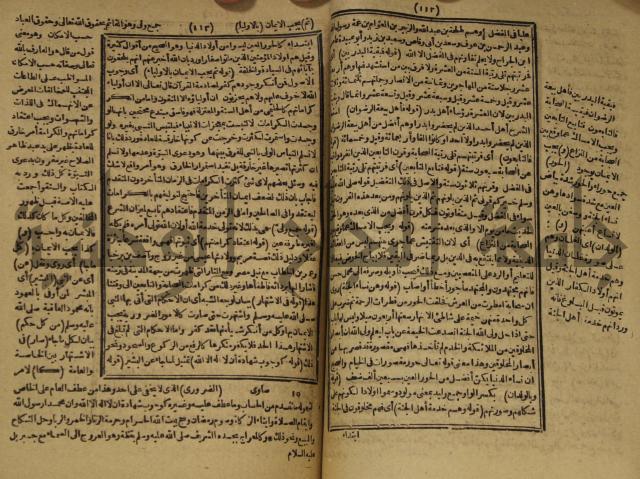 المستصغى من علم الاصول