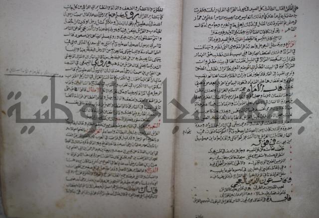 حياة الحيوان الكبرى