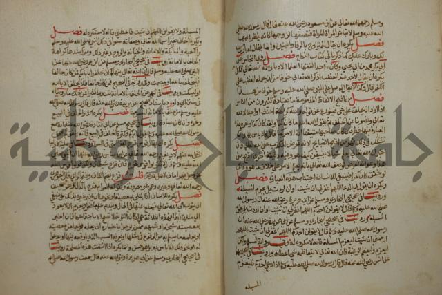 كتاب حلية الابرار وشعار الاخيار في تحقيق الدعوات والاذكار المستحبة في الليل والنهار