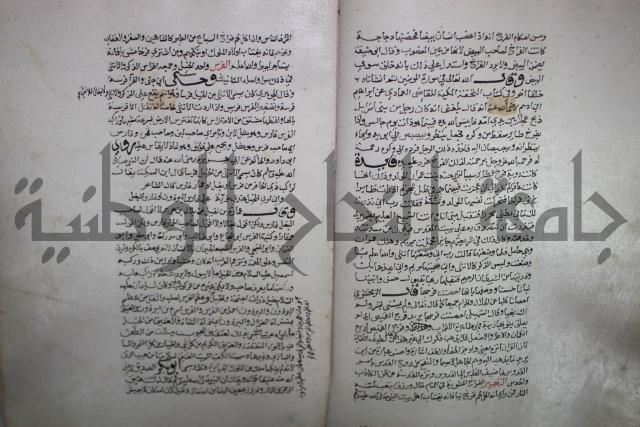 حياة الحيوان الكبرى