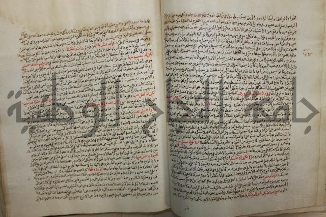 تفسير القرآن العظيم : إرشاد العقل السليم إلى مزايا الكتاب الكريم