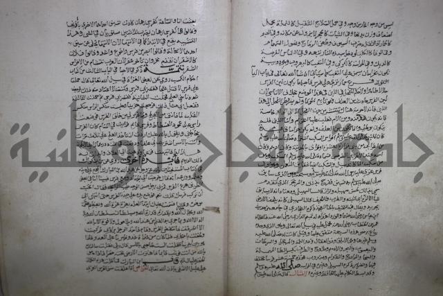 حياة الحيوان الكبرى