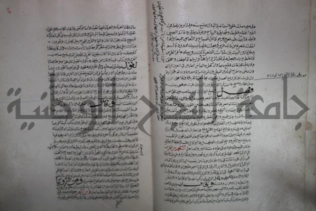 حياة الحيوان الكبرى