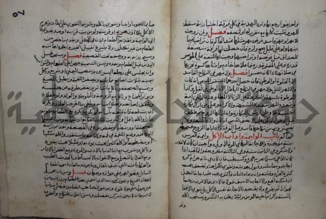 مختصر في الفقة على مذهب الإمام أحمد