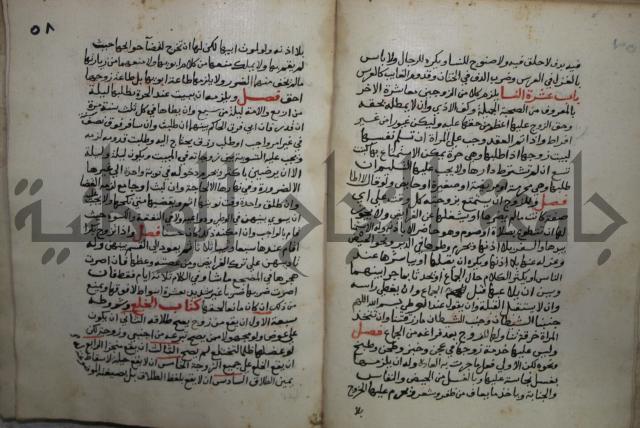 مختصر في الفقة على مذهب الإمام أحمد