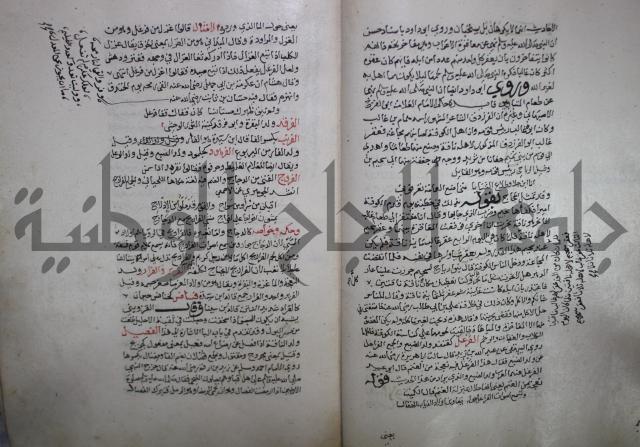 حياة الحيوان الكبرى