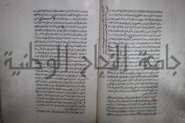 حياة الحيوان الكبرى