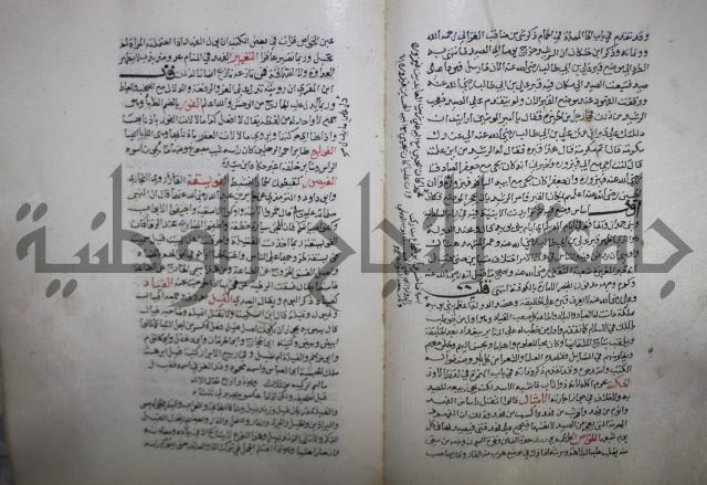 حياة الحيوان الكبرى