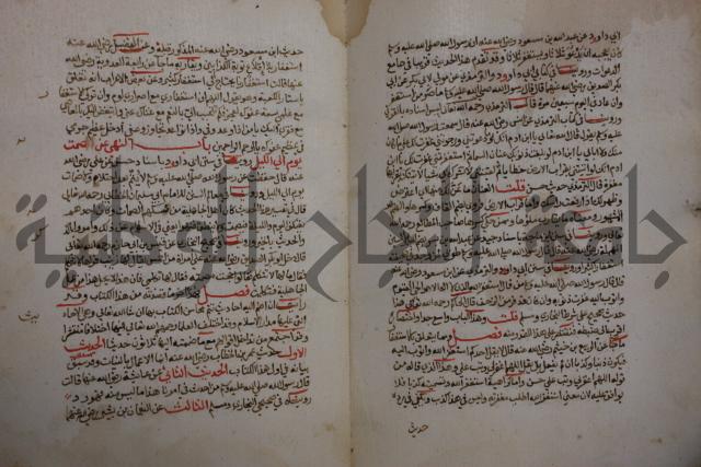 كتاب حلية الابرار وشعار الاخيار في تحقيق الدعوات والاذكار المستحبة في الليل والنهار