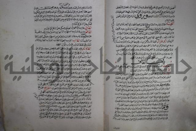 حياة الحيوان الكبرى