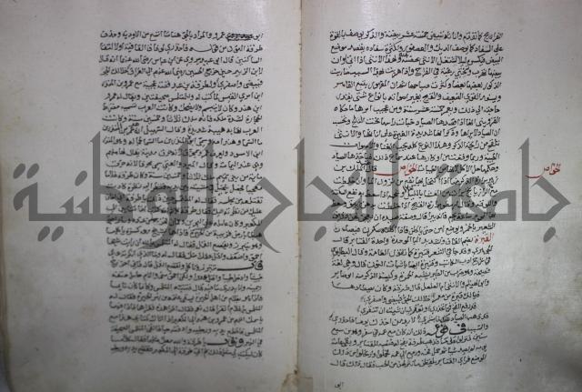 حياة الحيوان الكبرى