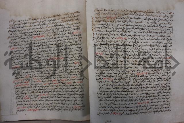تفسير القرآن العظيم : إرشاد العقل السليم إلى مزايا الكتاب الكريم