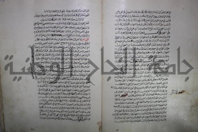 حياة الحيوان الكبرى