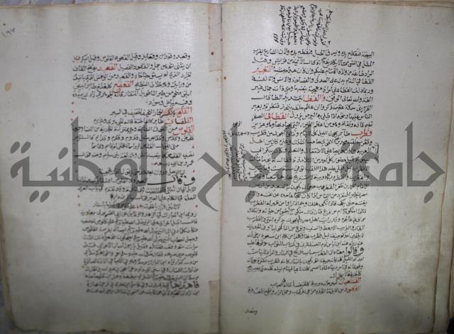 حياة الحيوان الكبرى