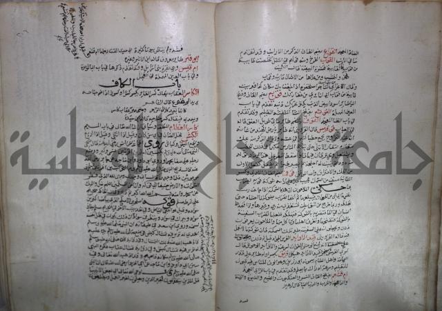 حياة الحيوان الكبرى