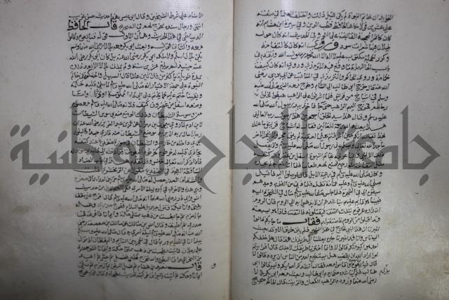 حياة الحيوان الكبرى