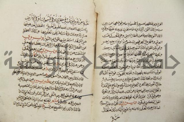 زهر الزاهر في الدلالة على قدرة العزيز القاهر