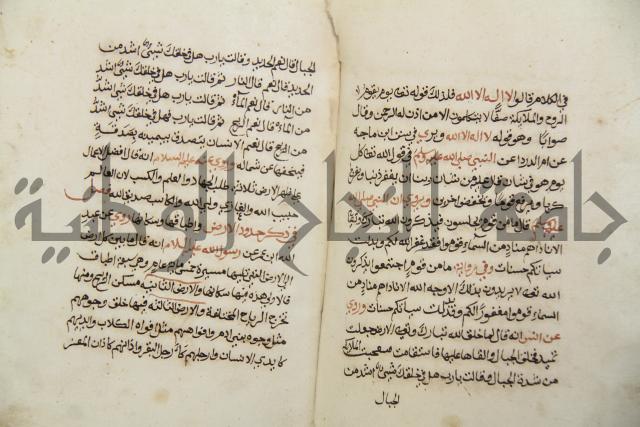 زهر الزاهر في الدلالة على قدرة العزيز القاهر