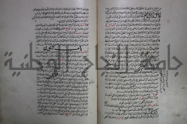 حياة الحيوان الكبرى