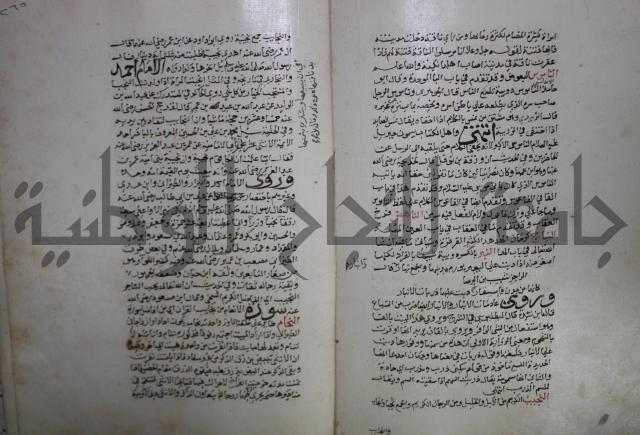 حياة الحيوان الكبرى