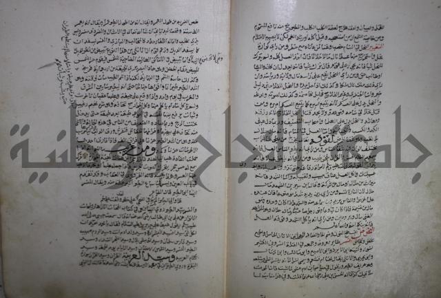 حياة الحيوان الكبرى