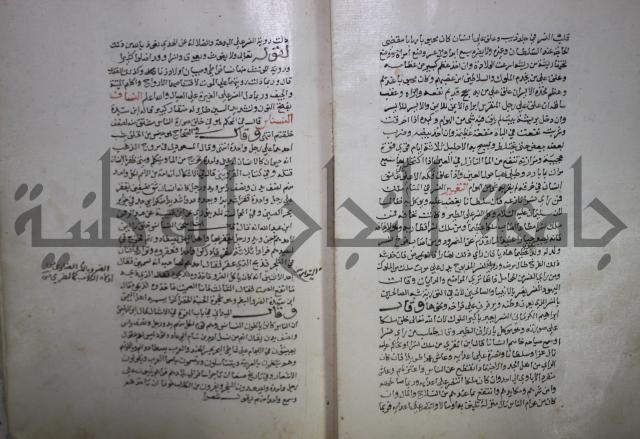 حياة الحيوان الكبرى