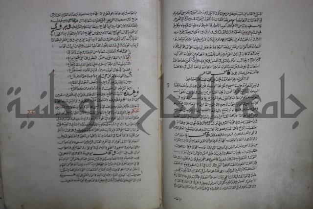 حياة الحيوان الكبرى