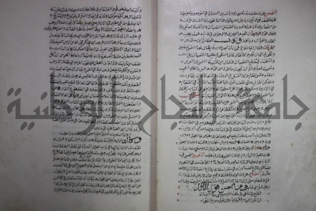 حياة الحيوان الكبرى