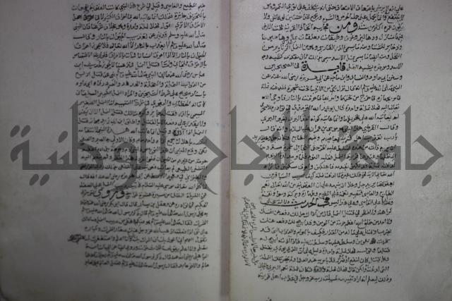 حياة الحيوان الكبرى