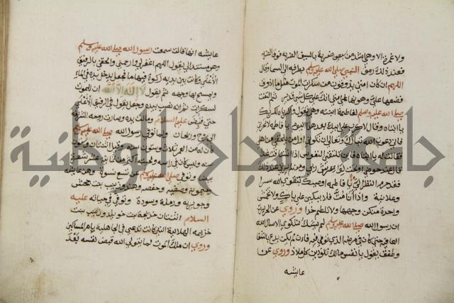 زهر الزاهر في الدلالة على قدرة العزيز القاهر