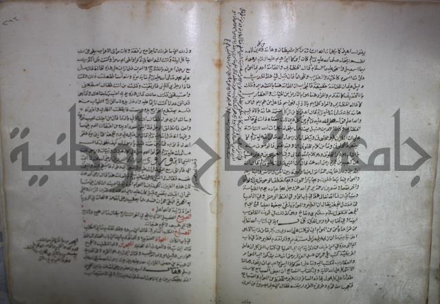 حياة الحيوان الكبرى