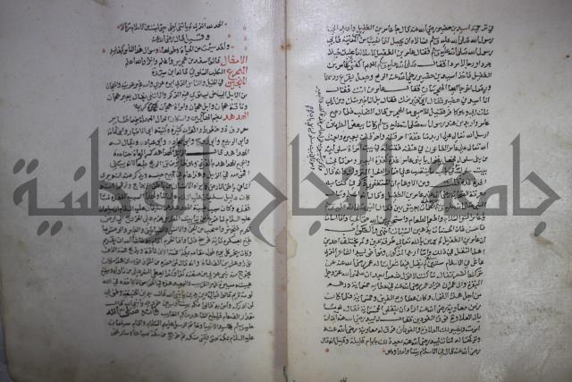 حياة الحيوان الكبرى