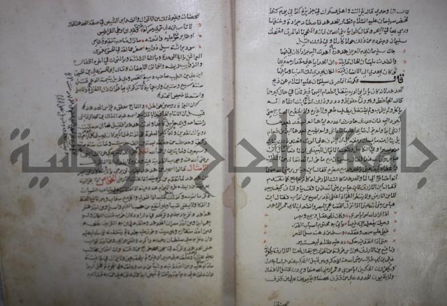 حياة الحيوان الكبرى