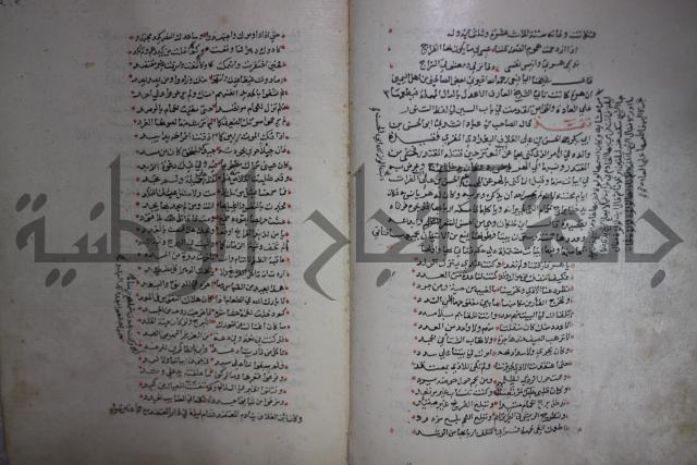 حياة الحيوان الكبرى