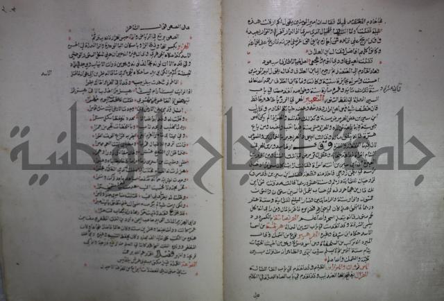 حياة الحيوان الكبرى